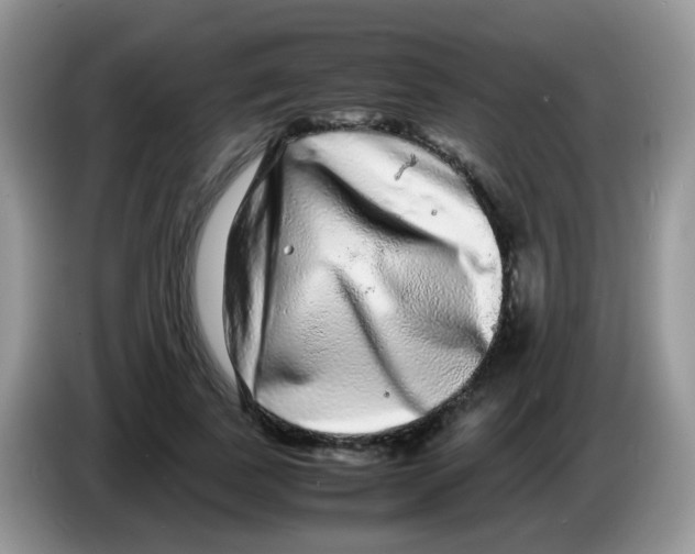 X0000086260739200704261955