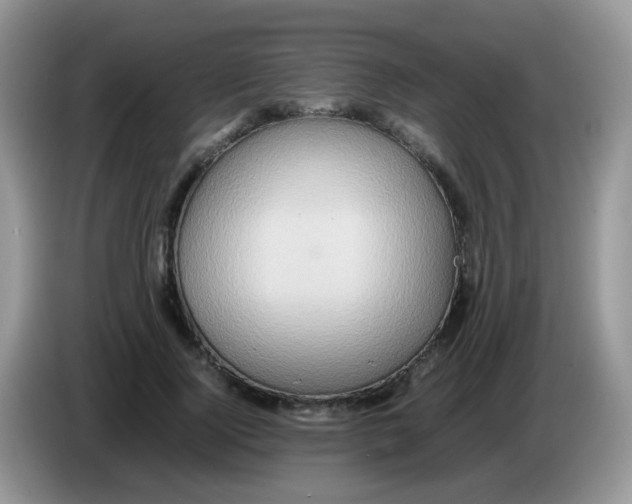 X0000086260740200704261955