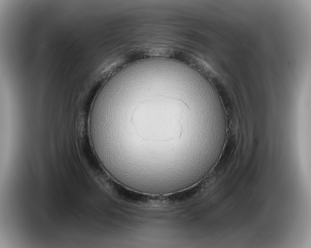 X0000086260744200704261955
