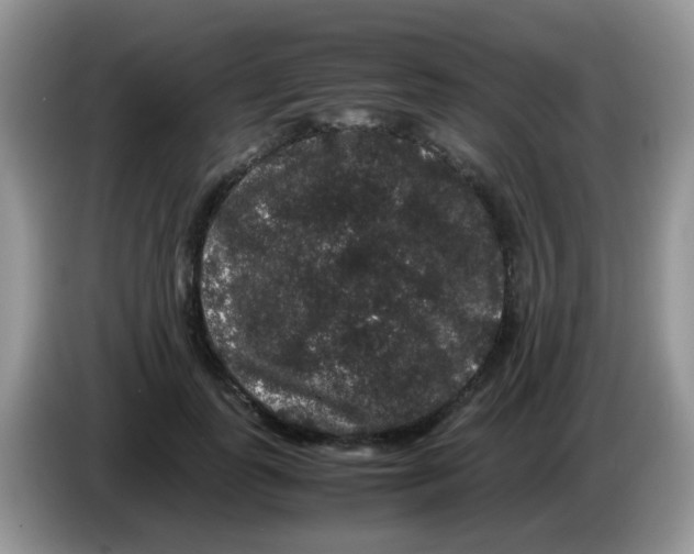 X0000086260747200704261955