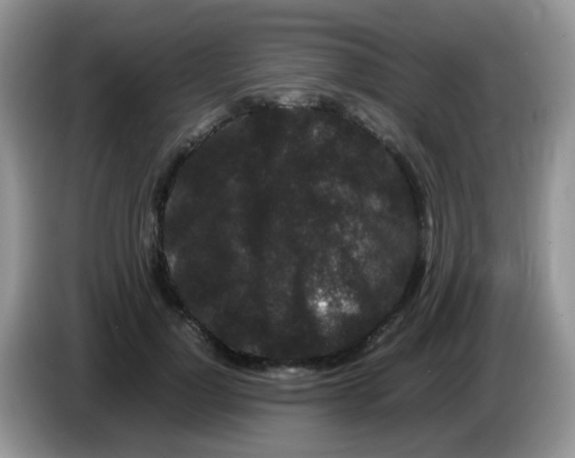 X0000086260748200704261955