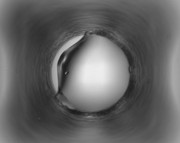 X0000086260750200704261955