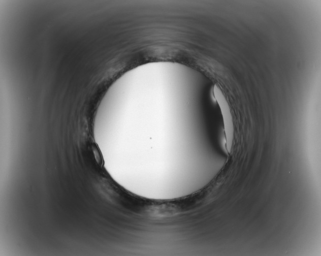 X0000086260752200704261955