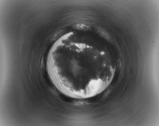 X0000086260754200704261955