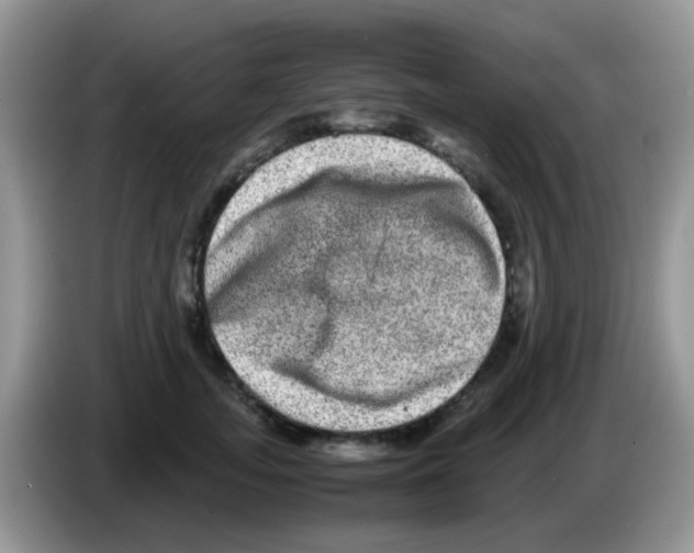 X0000086260755200704261955