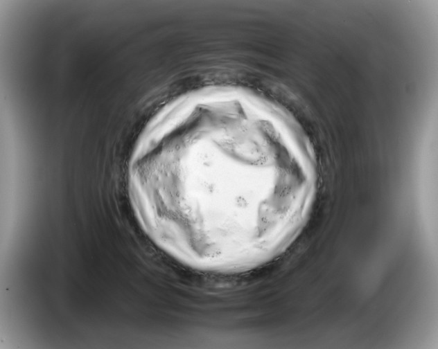 X0000086260757200704261955