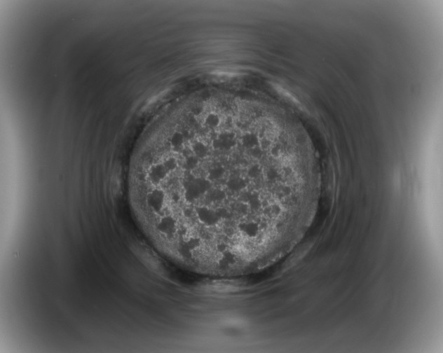 X0000086260758200704261955