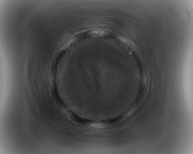 X0000086260759200704261955