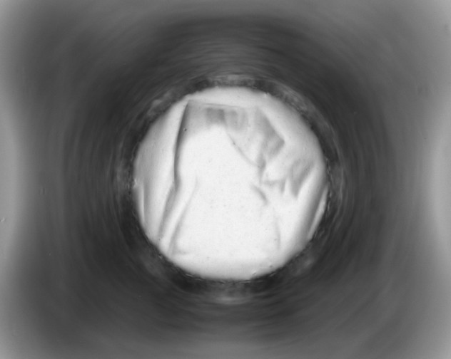 X0000086260761200704261955