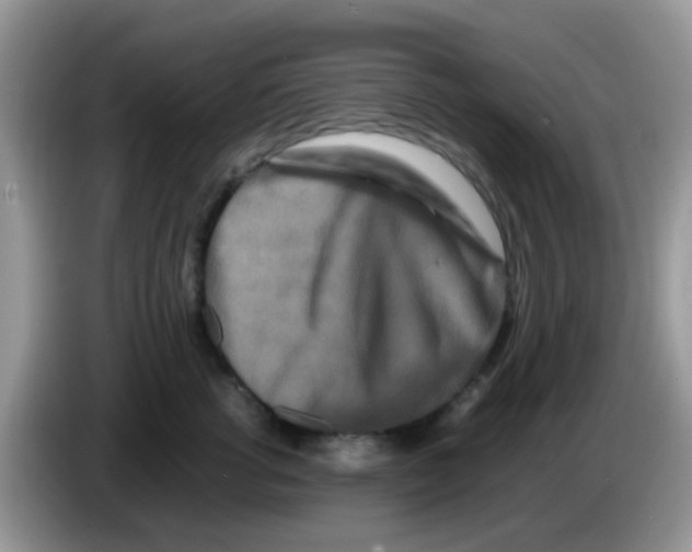 X0000086260762200704261955