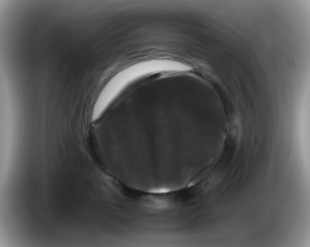 X0000086260763200704261956