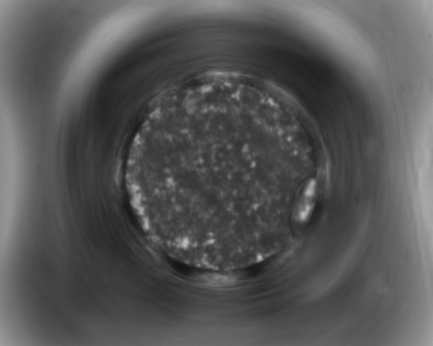 X0000086260765200704261956