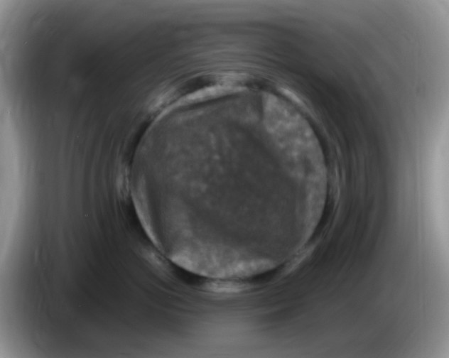 X0000086260766200704261956