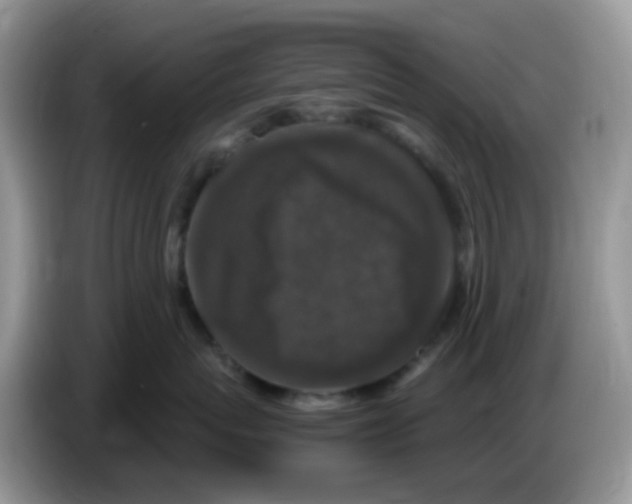 X0000086260767200704261956