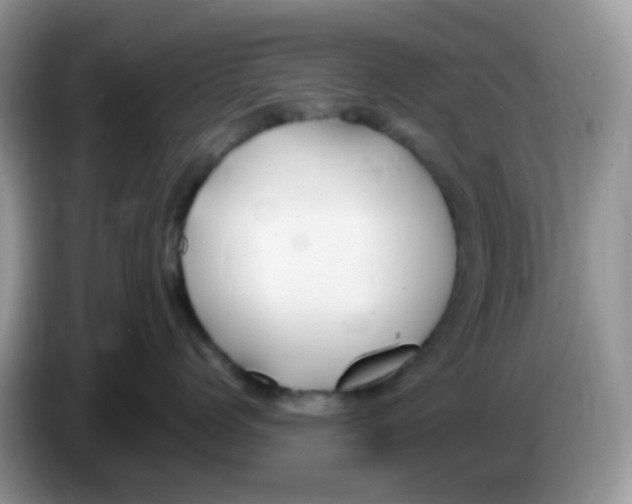 X0000086260768200704261956