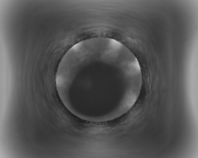 X0000086260769200704261955