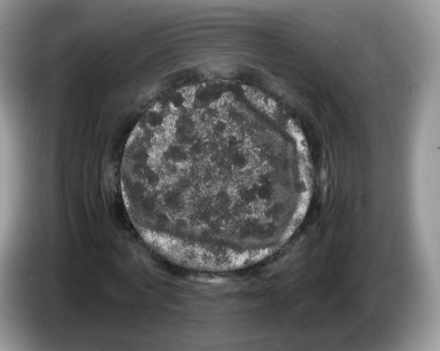X0000086260772200704261955