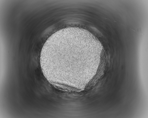 X0000086260774200704261955