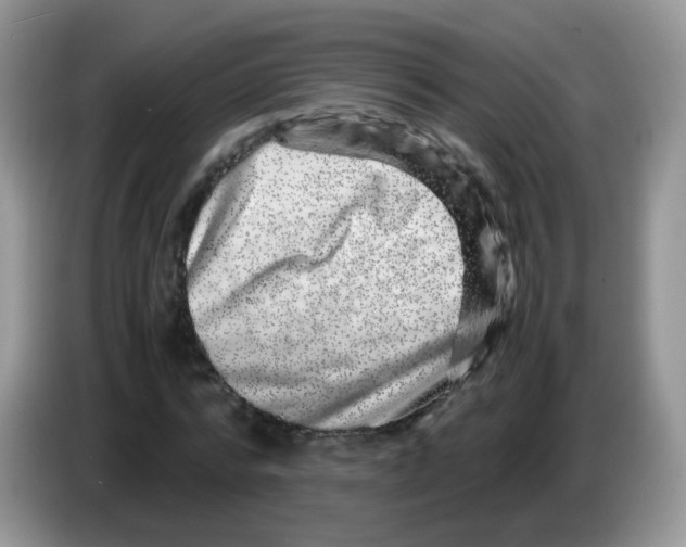 X0000086260776200704261955
