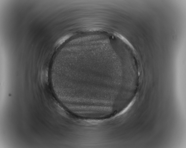X0000086260777200704261955