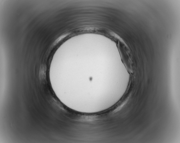 X0000086260778200704261955