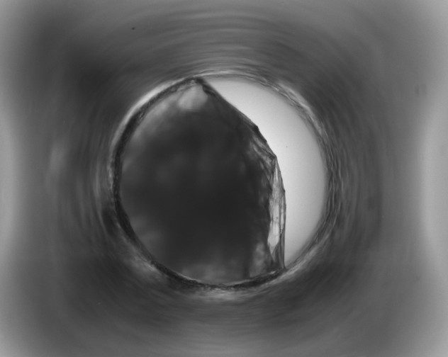 X0000086260779200704261955