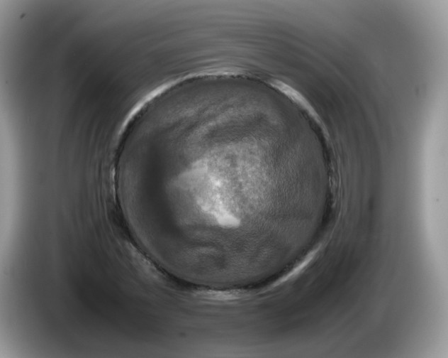 X0000086260781200704261955