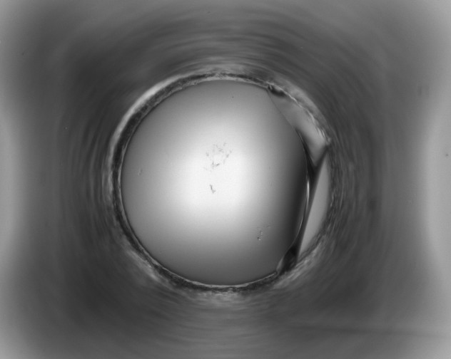 X0000086260784200704261955