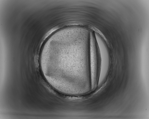X0000086260786200704261955