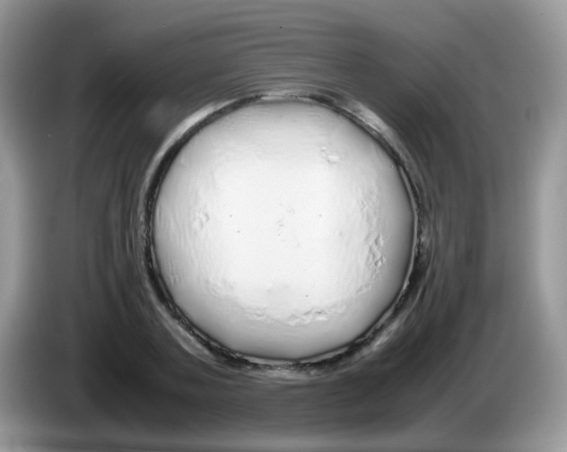 X0000086260787200704261955
