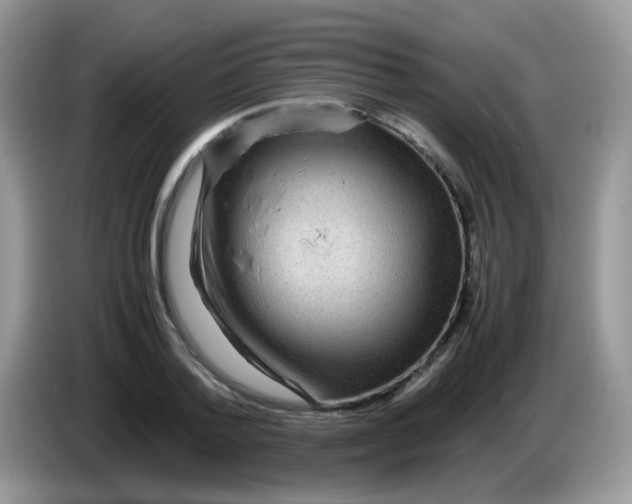 X0000086260788200704261955