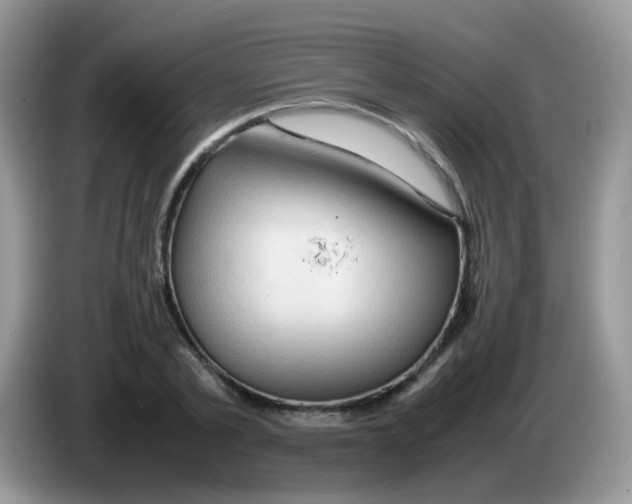X0000086260789200704261955