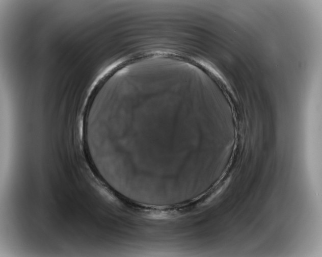X0000086260790200704261955