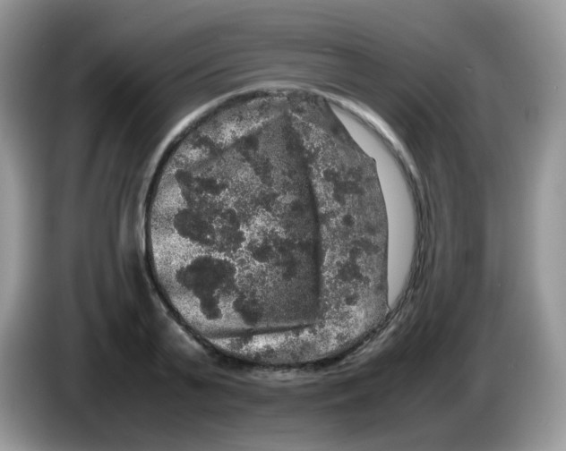 X0000086260791200704261955