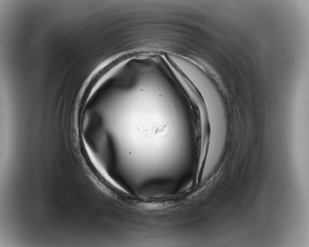 X0000086260792200704261955