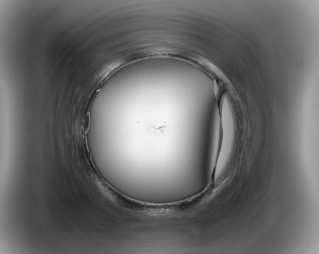 X0000086260793200704261955