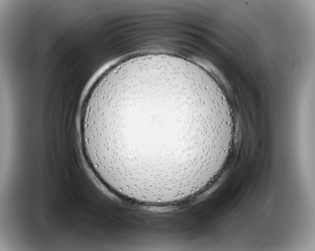 X0000086260796200704261955