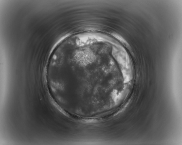 X0000086260798200704261955