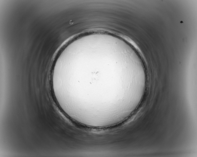 X0000086260799200704261955