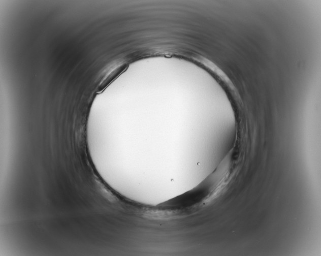 X0000086260801200704261955