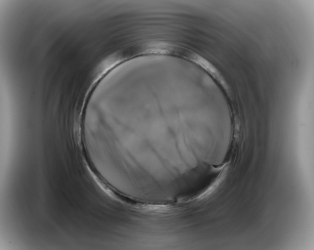 X0000086260802200704261955