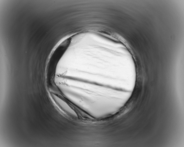 X0000086260803200704261955