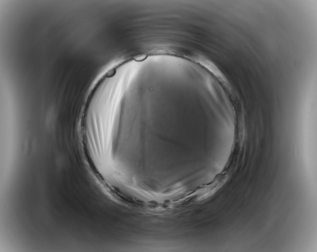 X0000086260806200704261954