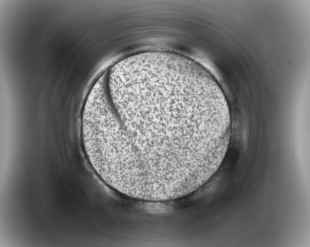 X0000086260807200704261954