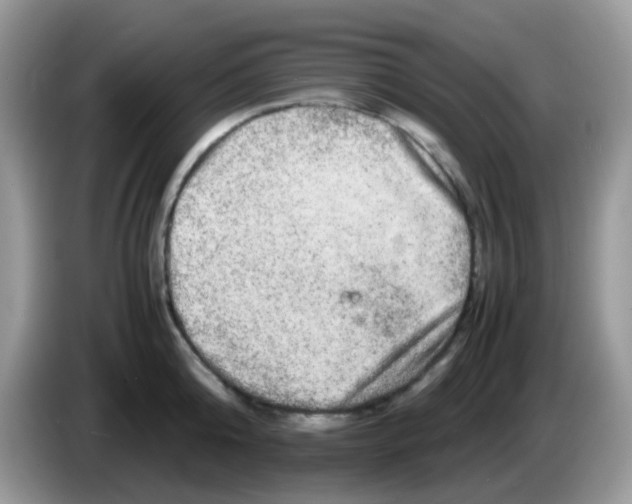 X0000086260808200704261954