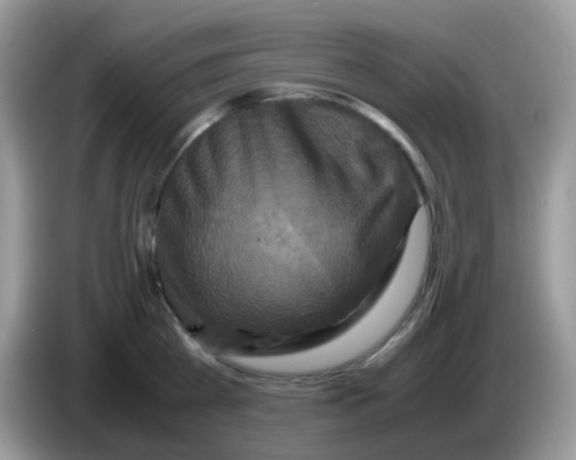 X0000086260809200704261954