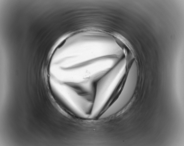 X0000086260812200704261954