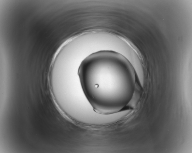 X0000086260813200704261954