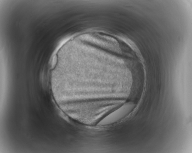 X0000086260816200704261954