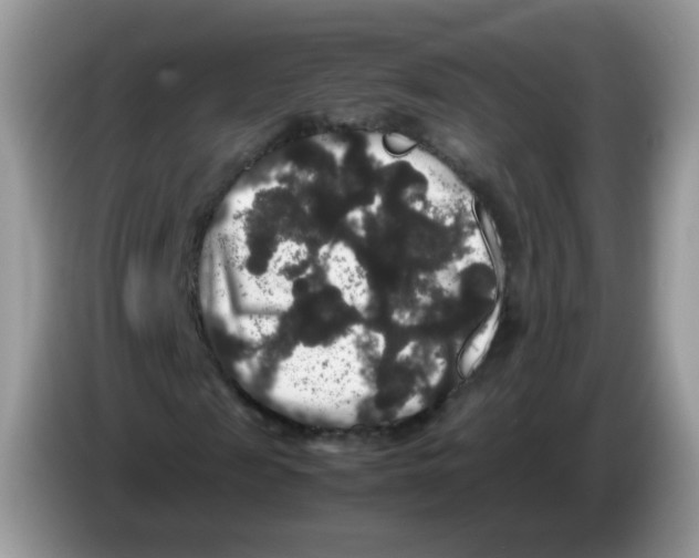 X0000086260817200704261954